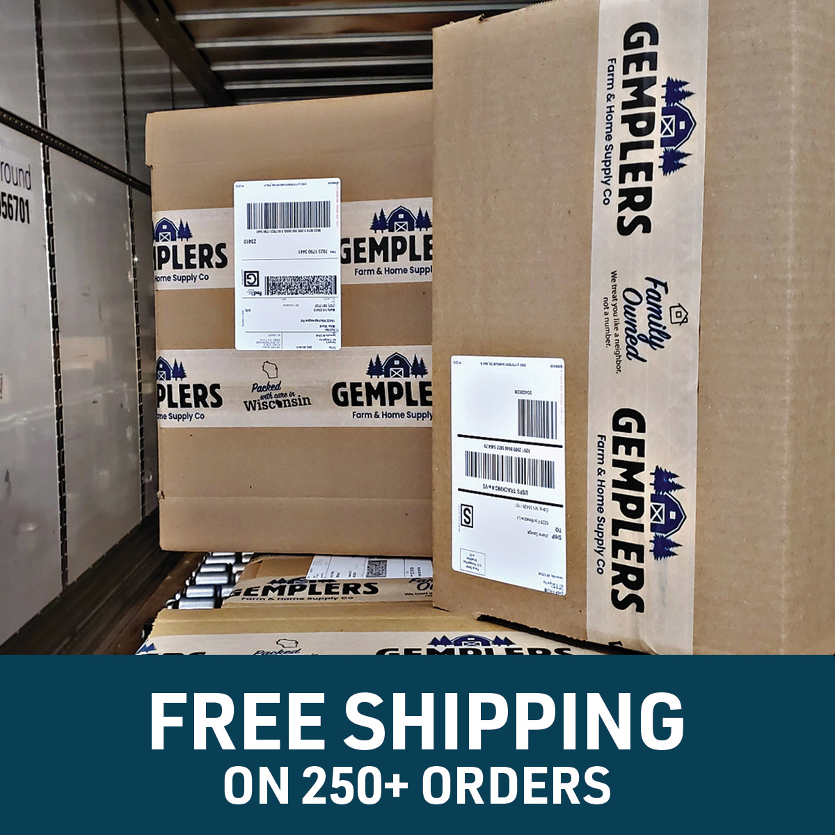 FREE SHIPPING